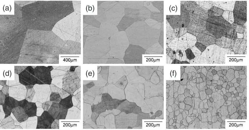 Fig. 2Optical micrographs of pure platinum in (a) and Pt-X binary alloys from (b) to (f)