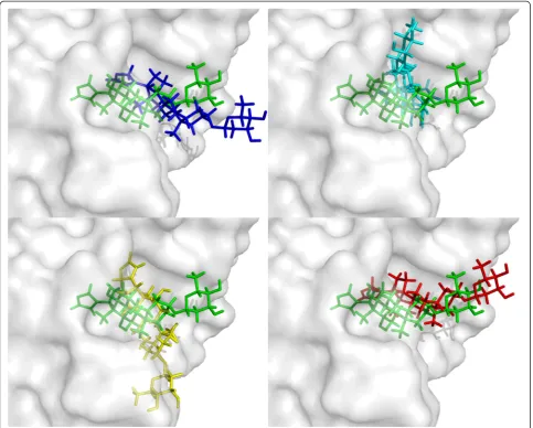 Figure 1 The native and docked ligand poses of 1IGJ with different docking strategies