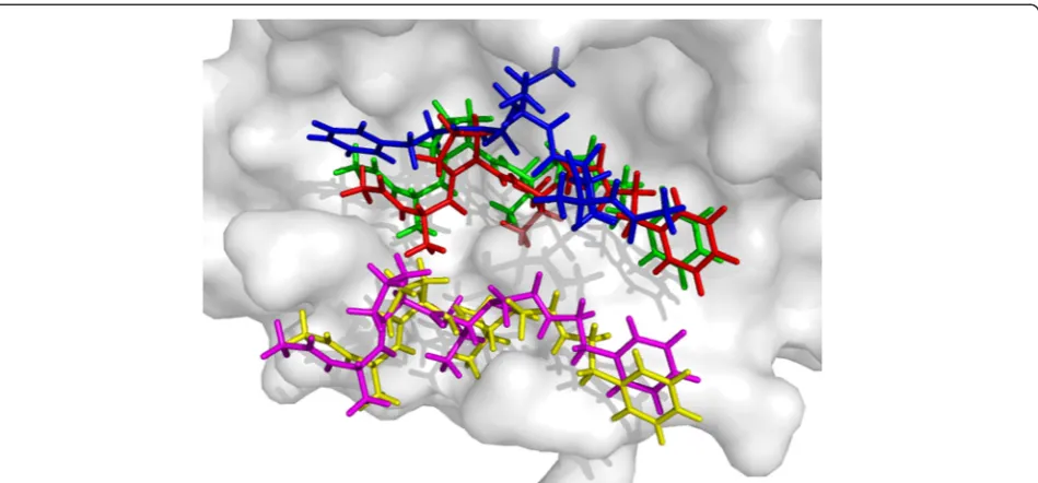 Figure 5 The native and docked ligand poses of 4EST with different docking strategies