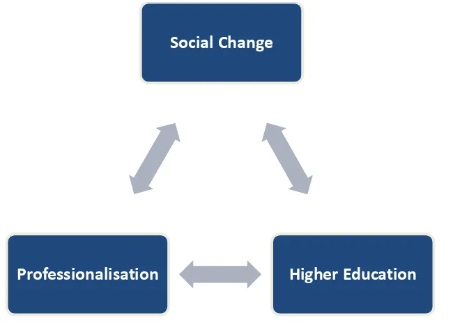 Figure 2. Social Change, Professionalisation and Higher Education (from Hallenberg, 2012: 120) 