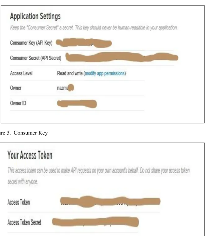 Figure 3.  Consumer Key 