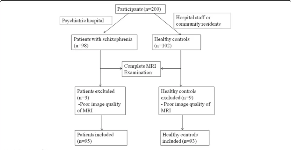 Fig. 1 Flow chart of the participants