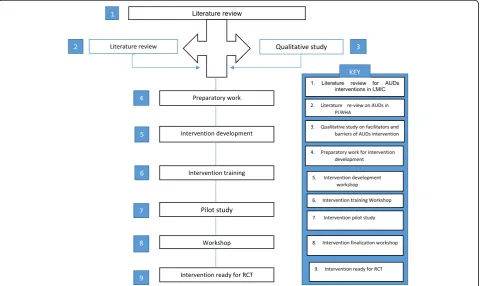 Fig. 1 Intervention preparatory stages