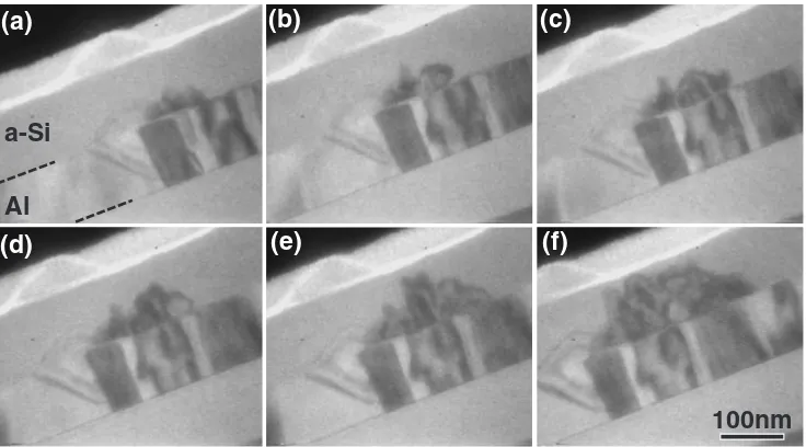 Fig. 3A series of BF-TEM images of a-Si/Al ﬁlm taken during in-situ heating at 553 K (average time interval 15 s).