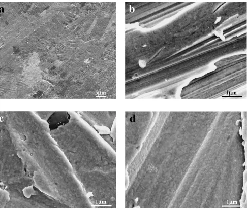 Fig. 3XRD patterns of the 1.2 mm-thick Pd-25Ag alloy membrane and theNi support.