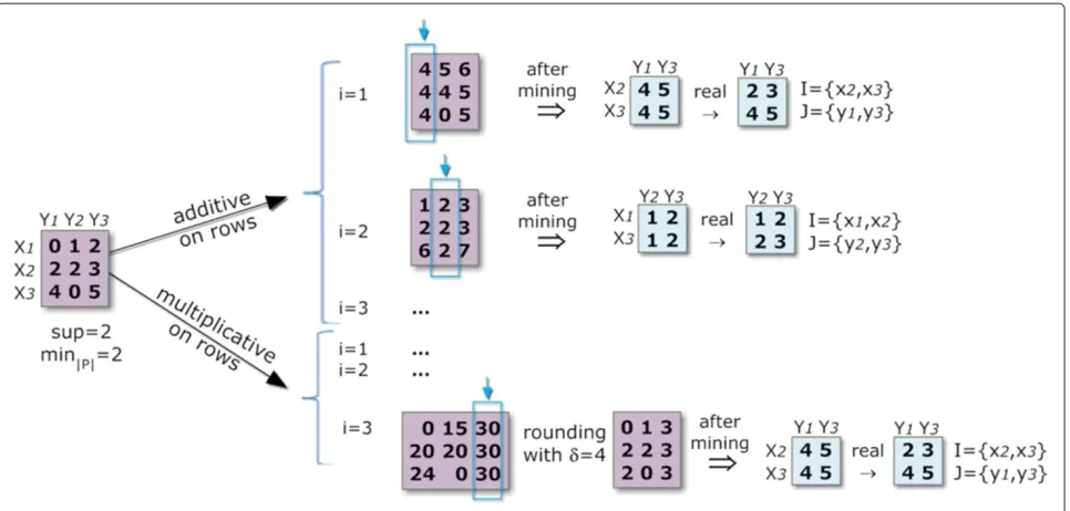 Figure 9 Pattern-based discovery of biclusters with symmetries for a constant coherency (a) and non-constant coherency (b).