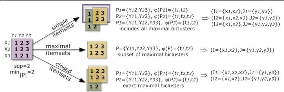 Figure 4 Comparison of biclustering solutions using frequent itemsets, maximal frequent itemsets and closed frequent itemsets.