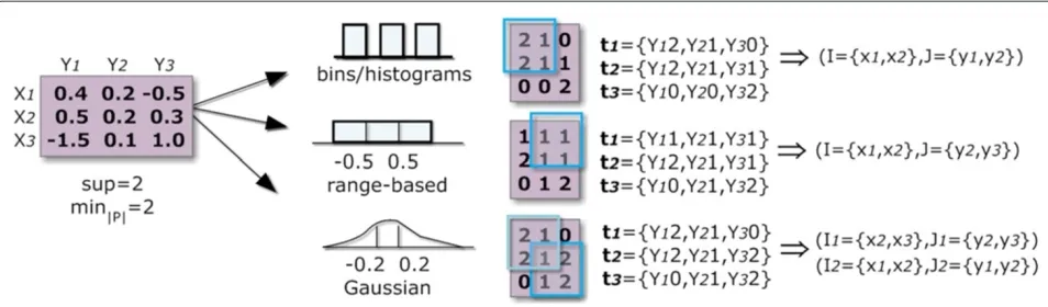 Figure 5 Impact of discretization options available in BicPAM.
