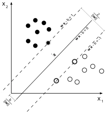 Figure 2.7: Example of classification by using the SMO algorithm. The figure shows an SVM trained with samples from two classes (black circles and white circles)