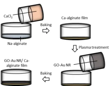 Figure S1. The fabrication process of GO-Au NR/Ca-alginate robot. 1.5 ml 2 wt% Na- Na-alginate is poured into a plasma-treated dish and dried in the oven for 1 hour