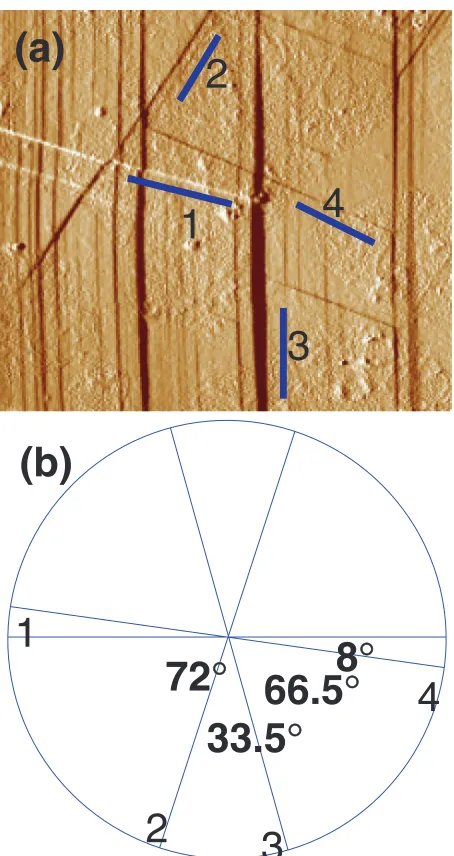 Fig. 2(a), suggesting that the deformation twin formed on the