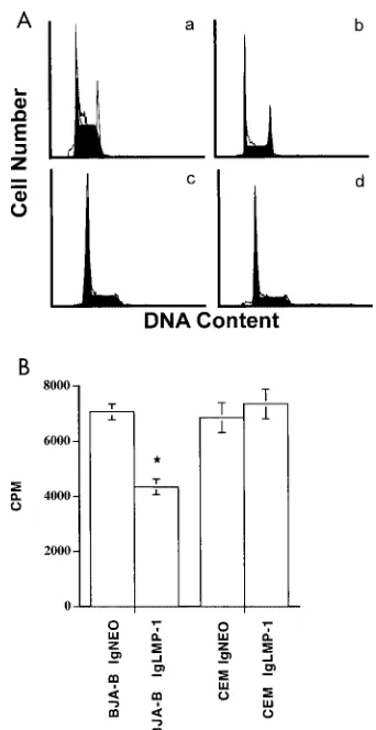 FIG. 4. Cell cycle proﬁles of LMP-expressing cells. After stainingwith PI, the cell cycle proﬁle was analyzed from the DNA content by