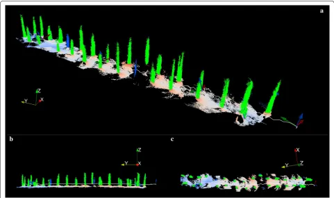 Fig. 3 Accumulated point cloud and pose from an animal-attached device in a forest environment