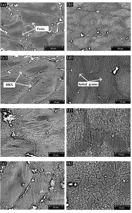 Fig. 2The SEM micrographs of the samples ECAEed after: (a) 1 p, (c) 2 ps, (e) 4 ps and (g) 8 ps in as-cast alloy; and (b) 1 p, (d) 2 ps,(f) 4 ps and (h) 8 ps in as-solutionized alloy.