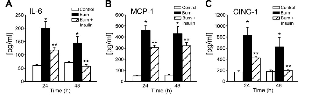 Figure 4. Insulin reverses mitochondrial damage and associated respiratory dysfunction after burn injury