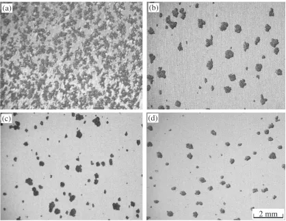 Fig. 1After immersion test in a 0.02N HCl solution on the specimens treated directly with ﬂuoride without a deposited magnesium layerat 693 K for 0.6, 1.8, 7.2 and 10.8 ks, (a), (b), (c) and (d), respectively.