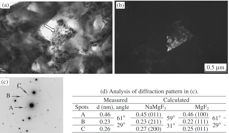 Fig. 5Extracted ﬂuoride layer formed at 693 K for 10.8 ks on the specimenwithout the deposited magnesium layer.