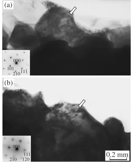 Fig. 9Diﬀraction analyses on grains with relatively dark contrast, (a) and(b). The inserted diﬀraction patterns are indexed as the MgF2 phase.