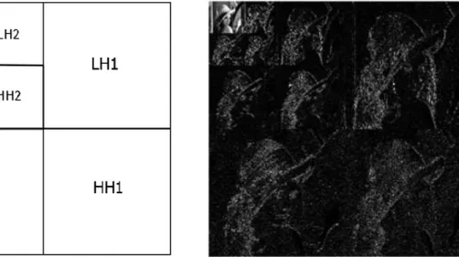Figure 7 Level 3 image decomposition using 2-D wavelet transform: (a) sub-band representation and (b)  decomposition of Lena test image