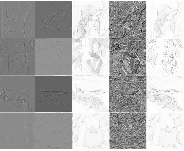 Figure 12 WTMM examples of 1 st  Level DWT for (a) Lena, (b) Barbara, (c) Airplane, and (d) Pepper images