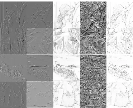 Figure 13 WTMM examples of 2 nd  Level DWT for (a) Lena, (b) Barbara, (c) Airplane, and (d) Pepper images