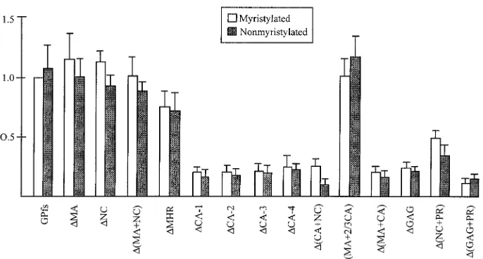 FIG. 5. Release of HIV RT activity from cells cotransfected with the Pr160gag-polwith 1through a 20% sucrose cushion as described in Materials and Methods
