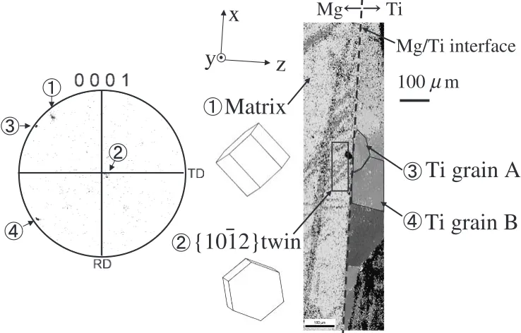 Fig. 4EBSD analysis results in the vicinity of Mg/Ti interface (pole ﬁgure and inverse pole ﬁgure).