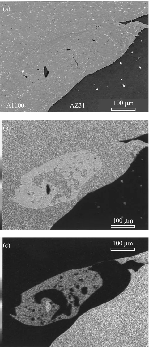 Fig. 4SEM image and EDS analysis of an eddy region in sample #11; (a)backscattered electron image and element map of (b) Al and (c) Mg.Regions colored in red and black represent high and no concentration ofthe element respectively.