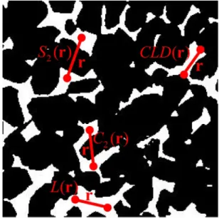 FIG. 7. Illustration of the two-point correlation function S 2 (r ), the lineal-path function L(r ), the two-point cluster function C 2 (r ), and the chord-length distribution function CLD(r )