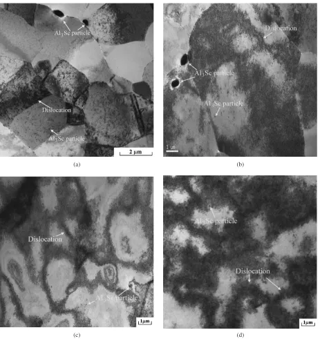 Fig. 7(a) Transmission electron micrograph of undeformed Al-Sc alloy. Dislocation structures of Al-Sc alloy specimens deformed atstrain rates of: (b) 1:3 � 103 s�1, (c) 3:6 � 103 s�1, and (d) 5:9 � 103 s�1.