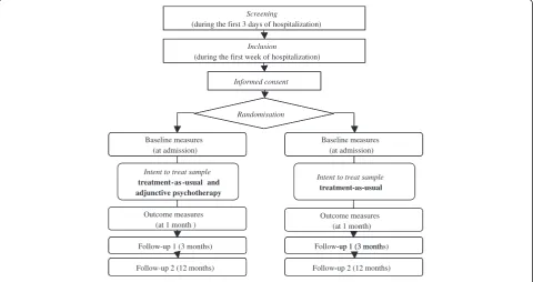 Figure 1 Flow chart of the research plan.