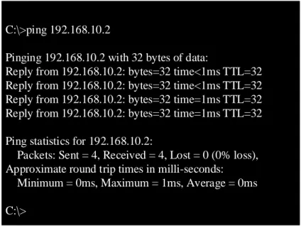 Figure 2.5: Ping request to verify the hardware is configured and communicating