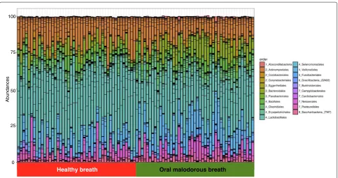 Fig. 1 Bar plot of abundance of orders in each sample using a phyloseq package. The orders are ordered by phylum: 1