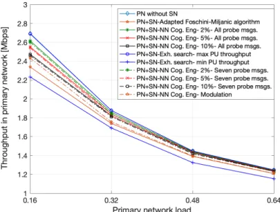Figure 2.7: Average throughput in primary network.