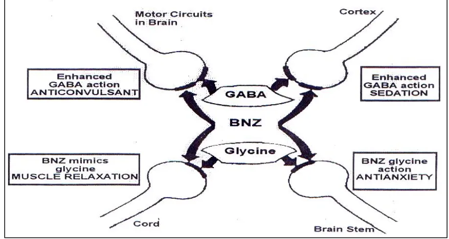 Fig.                                                              8B: Mechanisms  
