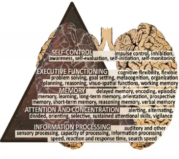 FIGURE - 4 COGNITION DOMAINS AND SPECIFIC FUNCTIONS 