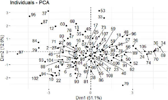 Figure 1.18: Individuals Plot: entrepreneurs data