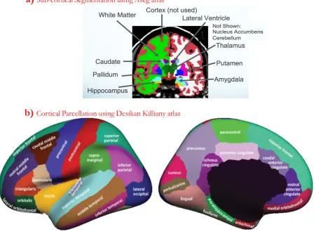 Figure 2.5: Sub-cortical segmentation & cortical parcellation in Freesurfer (FS).  