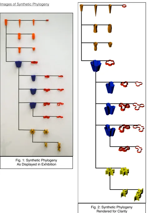 Fig. 1: Synthetic Phylogeny
