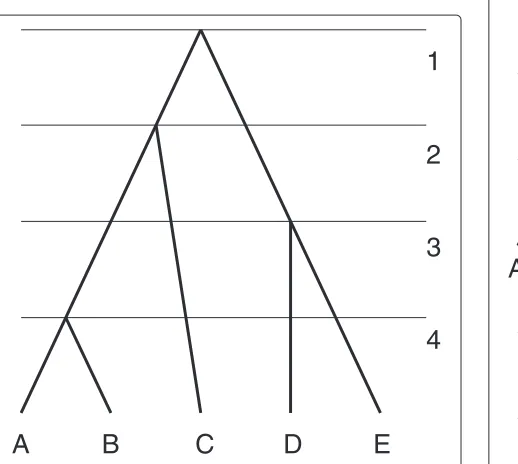 Figure 1 Ranked tree. Ranked X-tree, X = {A, B, C, D, E}. Thenumbers on the right are values of the ranking function.