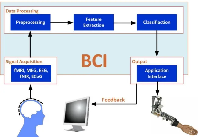 Figure 7: A typical BCI pipeline 