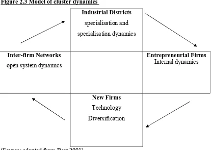Figure 2.3 Model of cluster dynamics 