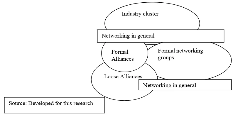 Figure 2.5 Clusters, networks and alliances as interconnected concepts (figure 