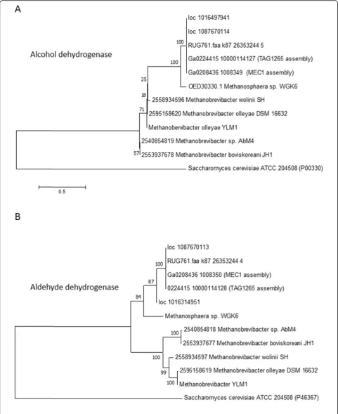 Fig. 4 (See legend on next page.)