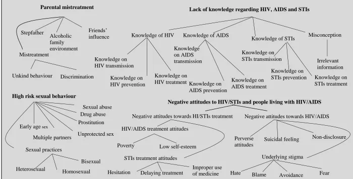 Figure 4-2 Thematic coding of HIV/AIDS and STIs risks to street children 