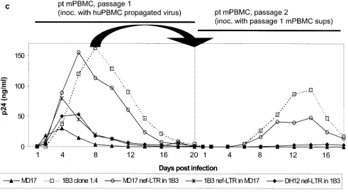 FIG. 7—Continued.