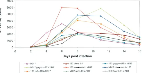 FIG. 8. Replication of the parental MD17 virus, 1B3 clone 1.4, and the MD17-1B3 chimeric viruses in huPBMC