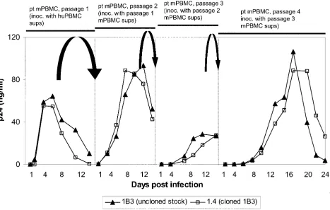 FIG. 5. The cloned 1B3 (clone 1.4) virus exhibits the same replication kinetics in pt mPBMC as the uncloned 1B3 virus stock