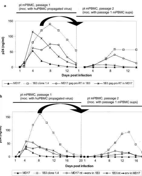 FIG. 7. Replication in pt mPBMC for two passages of the gagcomparison to clone 1.4 and MD17