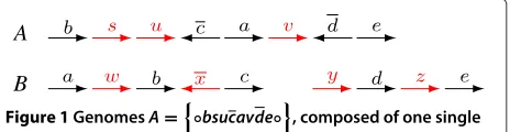Figure 1 Genomes A =linear chromosome, and